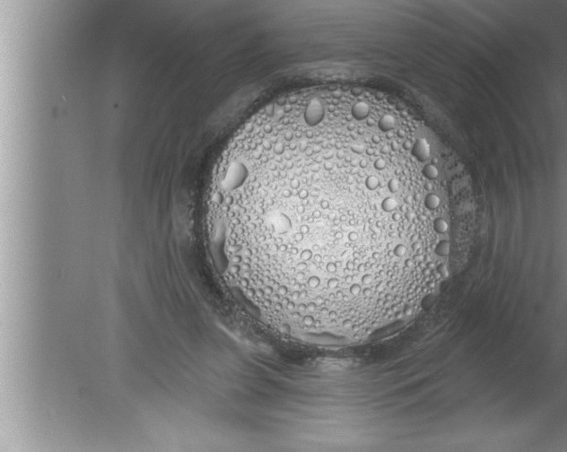 X0000080130255200612302043