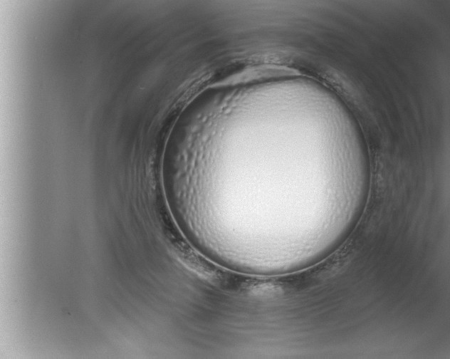 X0000080130258200612302043