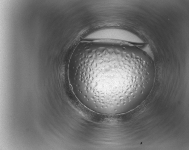 X0000080130260200612302043