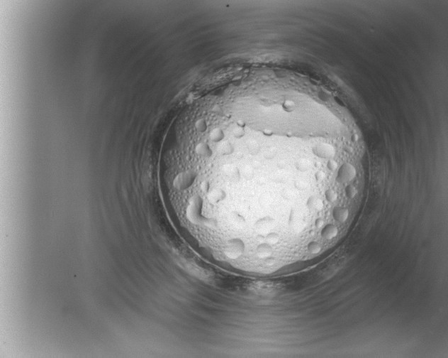 X0000080130261200612302043