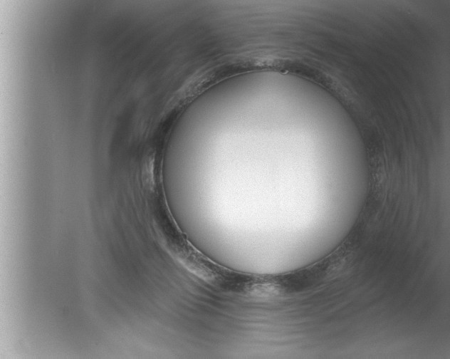 X0000080130262200612302043