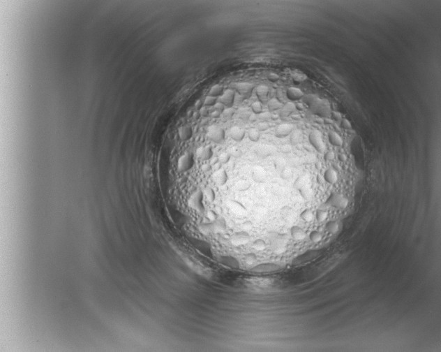 X0000080130265200612302044