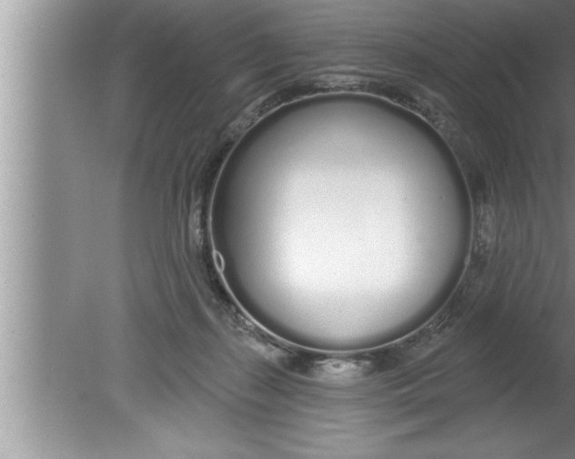 X0000080130267200612302044