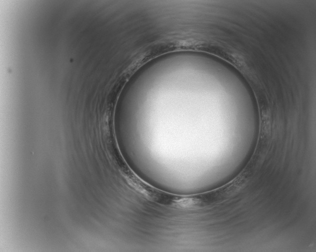 X0000080130269200612302044