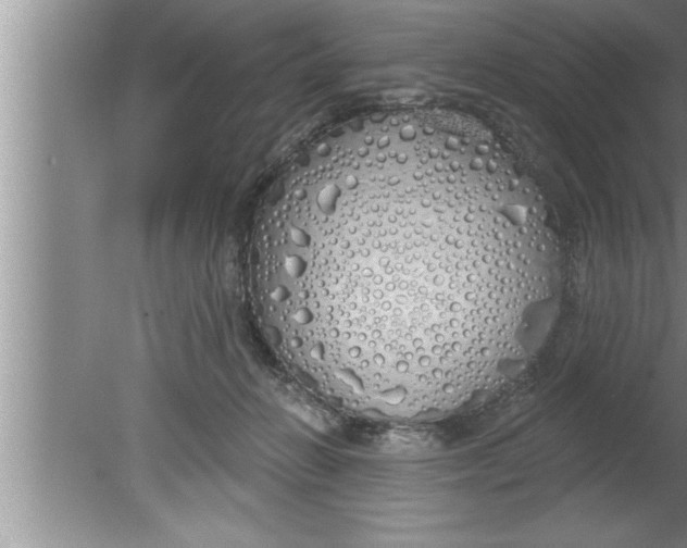 X0000080130270200612302044