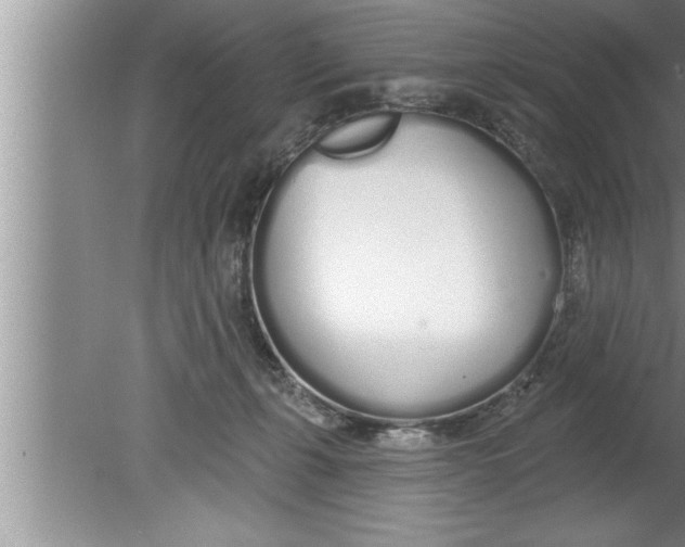 X0000080130271200612302044