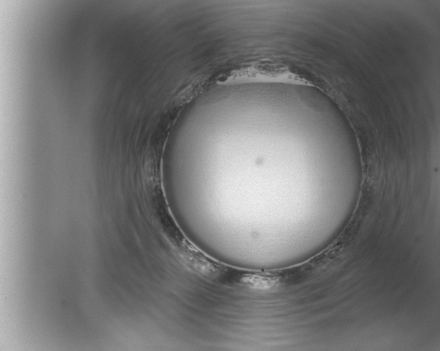 X0000080130272200612302044