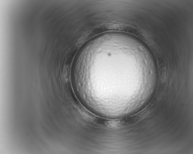 X0000080130273200612302044