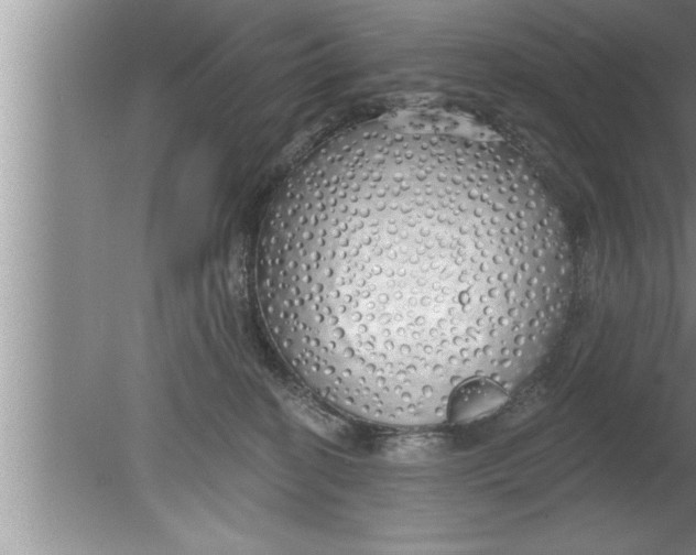 X0000080130274200612302044