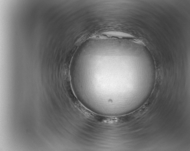 X0000080130276200612302044