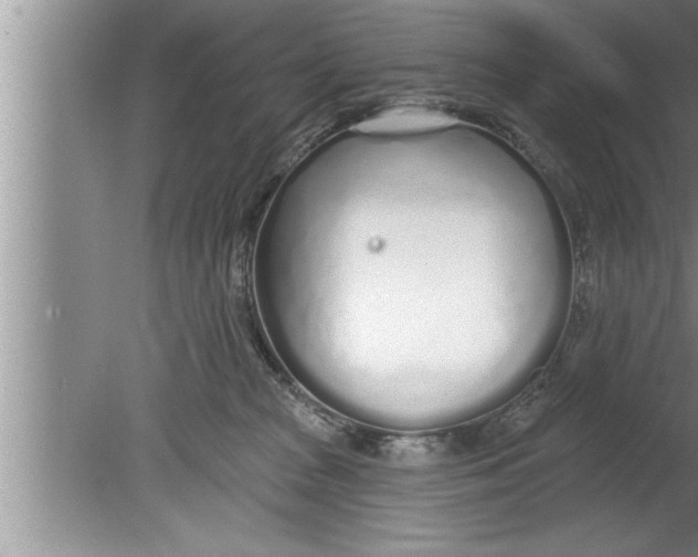 X0000080130277200612302044