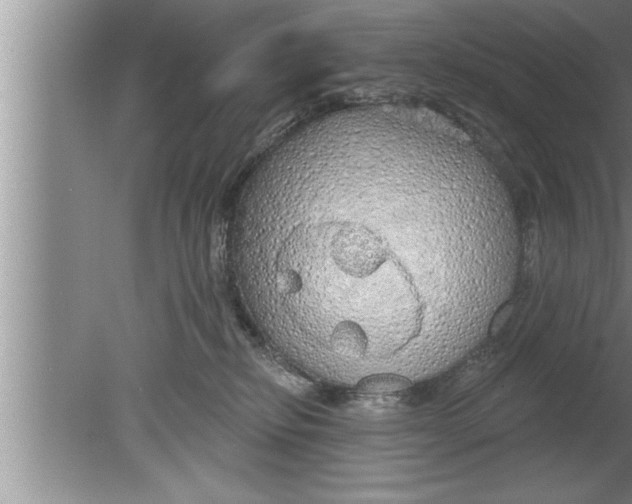 X0000080130278200612302044