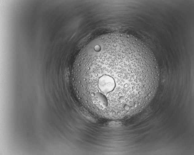 X0000080130279200612302044