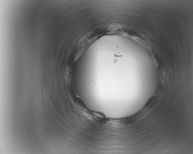 X0000080130280200612302044