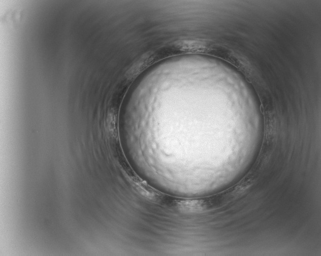 X0000080130281200612302044