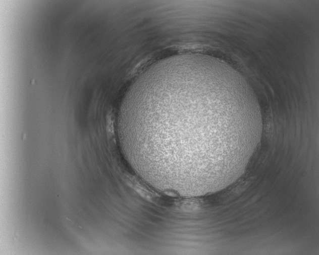 X0000080130282200612302044