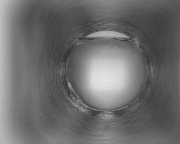 X0000080130284200612302044