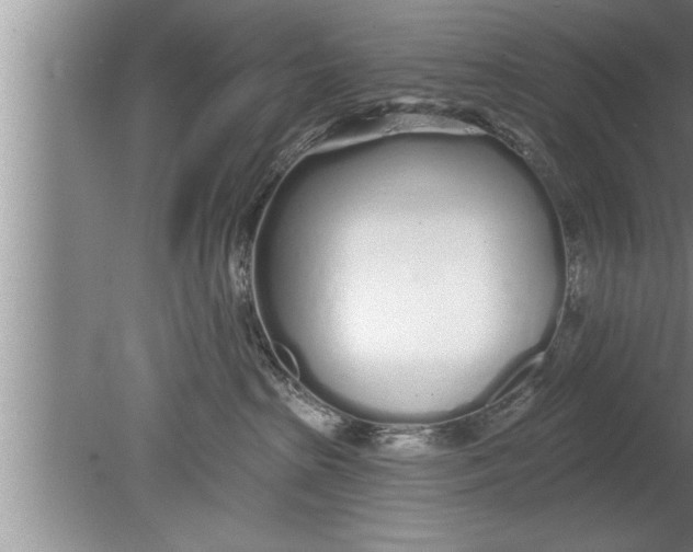 X0000080130285200612302044