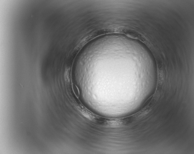 X0000080130286200612302044