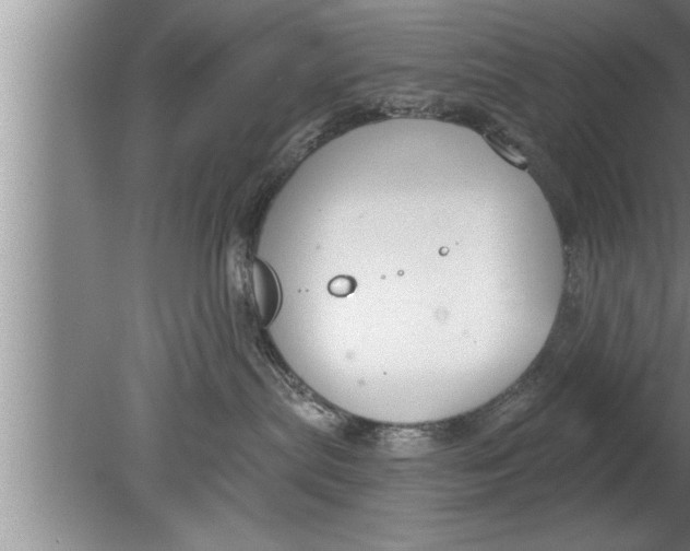 X0000080130287200612302044