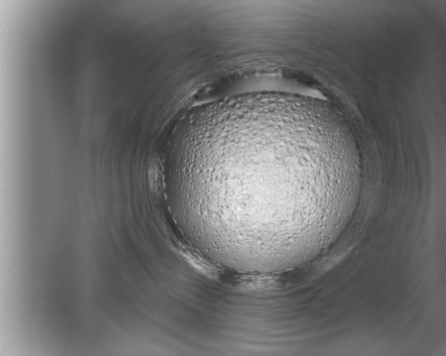 X0000080130288200612302044