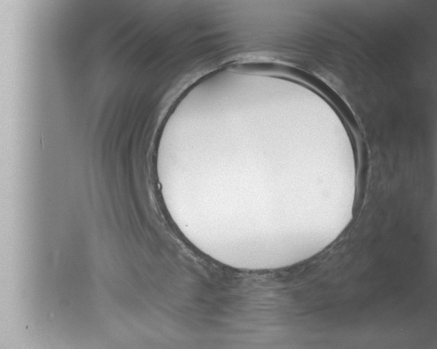 X0000080130289200612302043