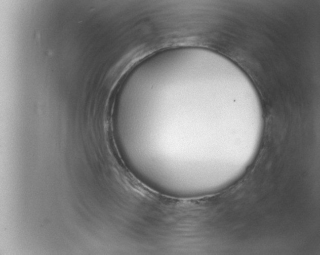 X0000080130290200612302043