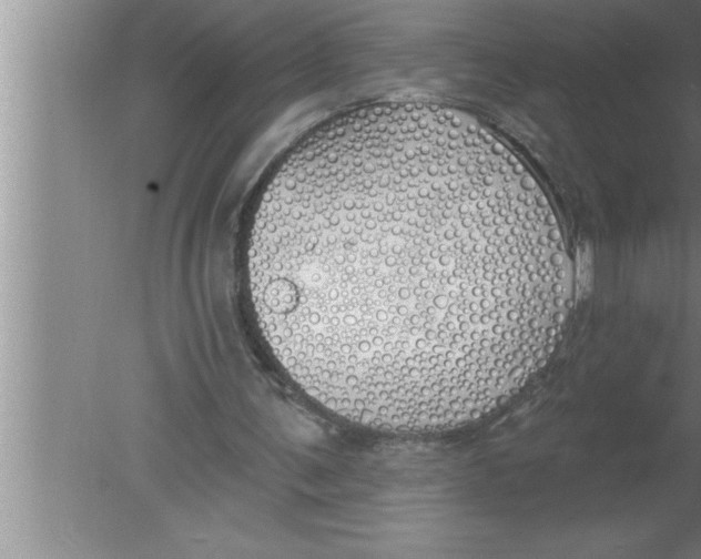 X0000080130291200612302043