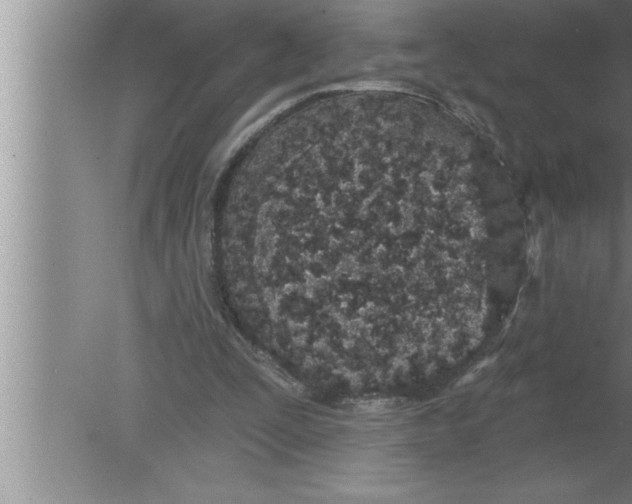 X0000080130295200612302043