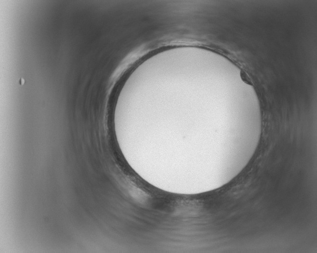 X0000080130296200612302043