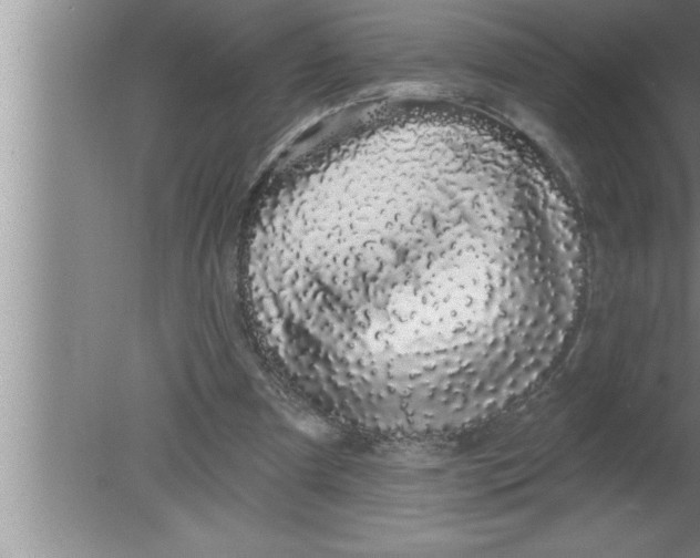 X0000080130297200612302043