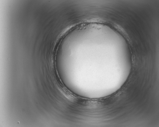 X0000080130298200612302043