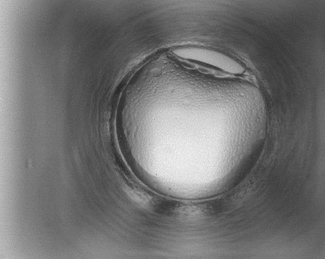 X0000080130299200612302043