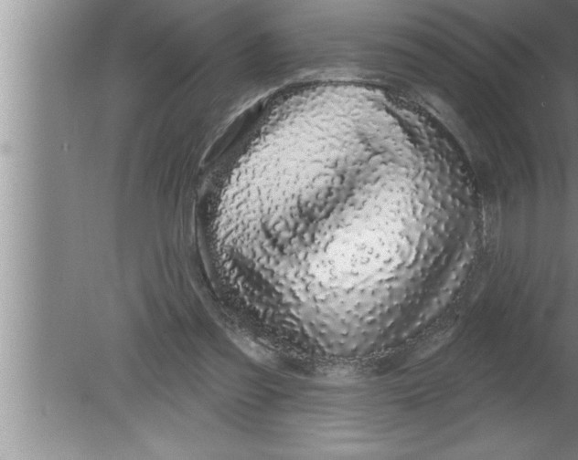 X0000080130301200612302043