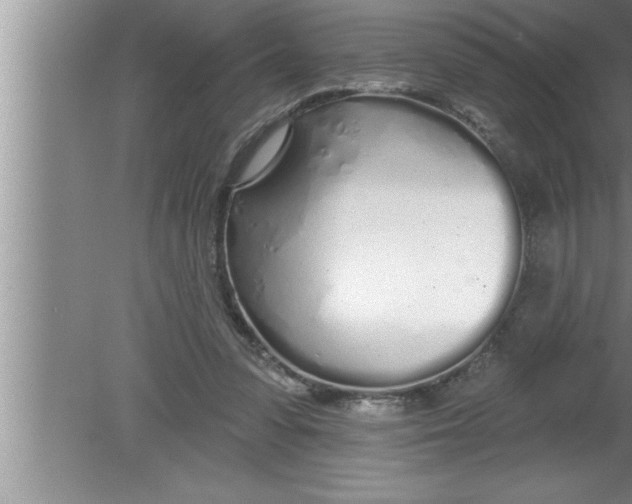 X0000080130303200612302043