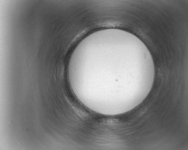 X0000080130304200612302043