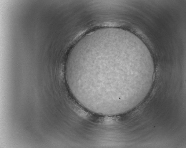 X0000080130305200612302043