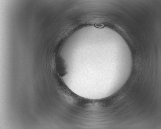 X0000080130307200612302043