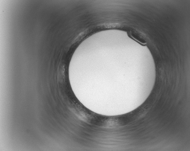 X0000080130308200612302043