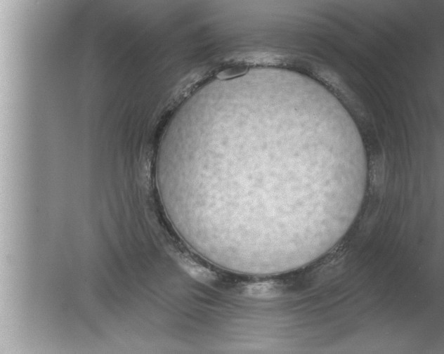 X0000080130309200612302043