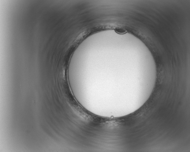 X0000080130310200612302043