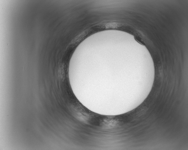 X0000080130311200612302043