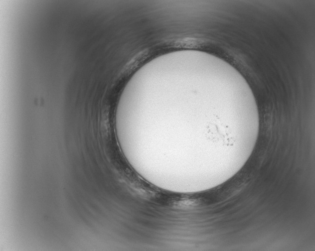 X0000080130312200612302043