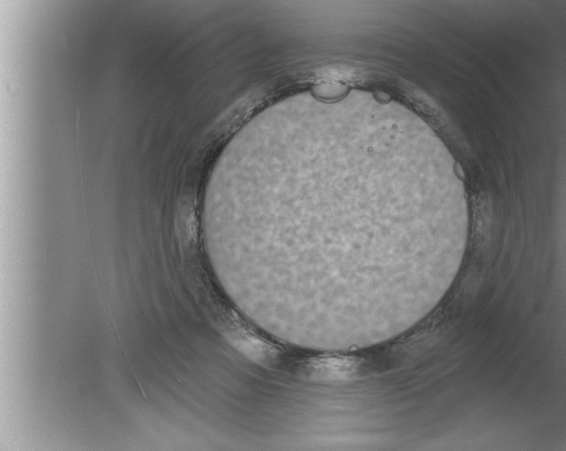 X0000080130313200612302043