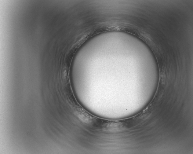 X0000080130314200612302043