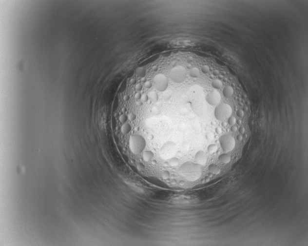 X0000080130315200612302043