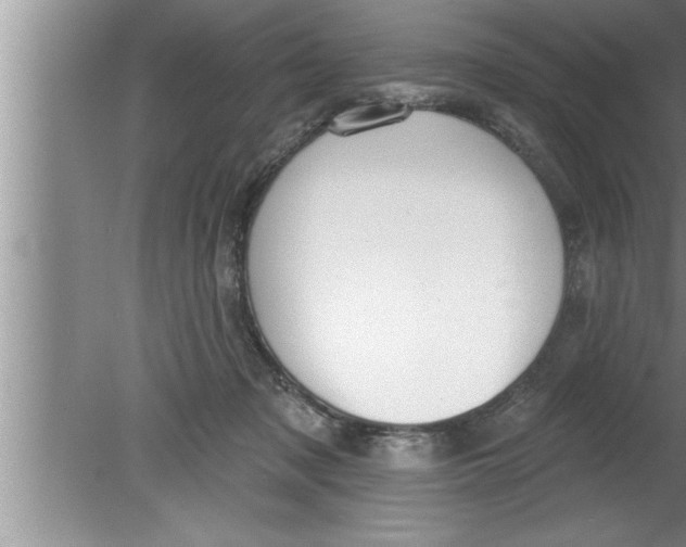 X0000080130317200612302043