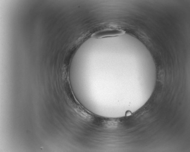 X0000080130318200612302043