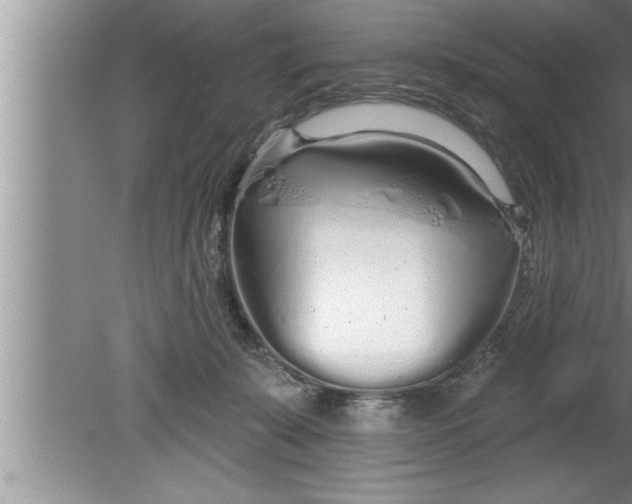 X0000080130319200612302043