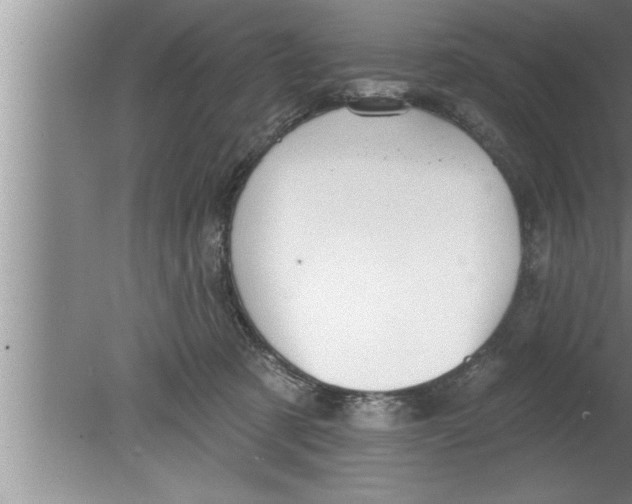 X0000080130321200612302043